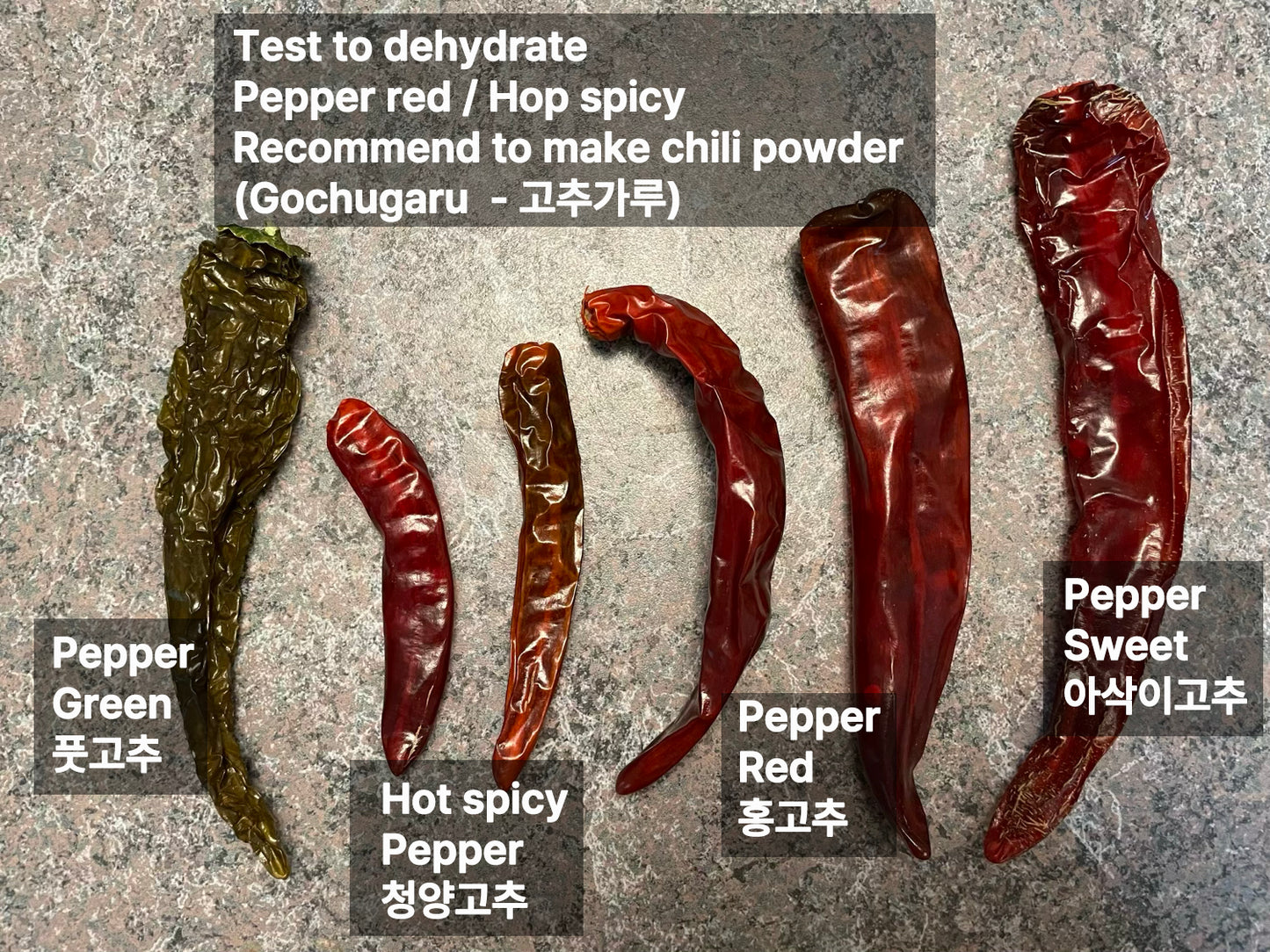 Korean spicy pepper : Cheongyang – 청양 고추 씨앗 | KSEEDZ