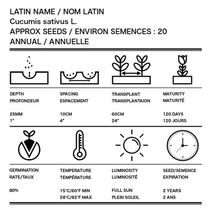 Cucumber - 백다다기 오이 image 3