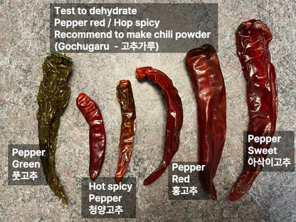 Korean spicy pepper : Cheongyang – 청양 고추 씨앗 | KSEEDZ