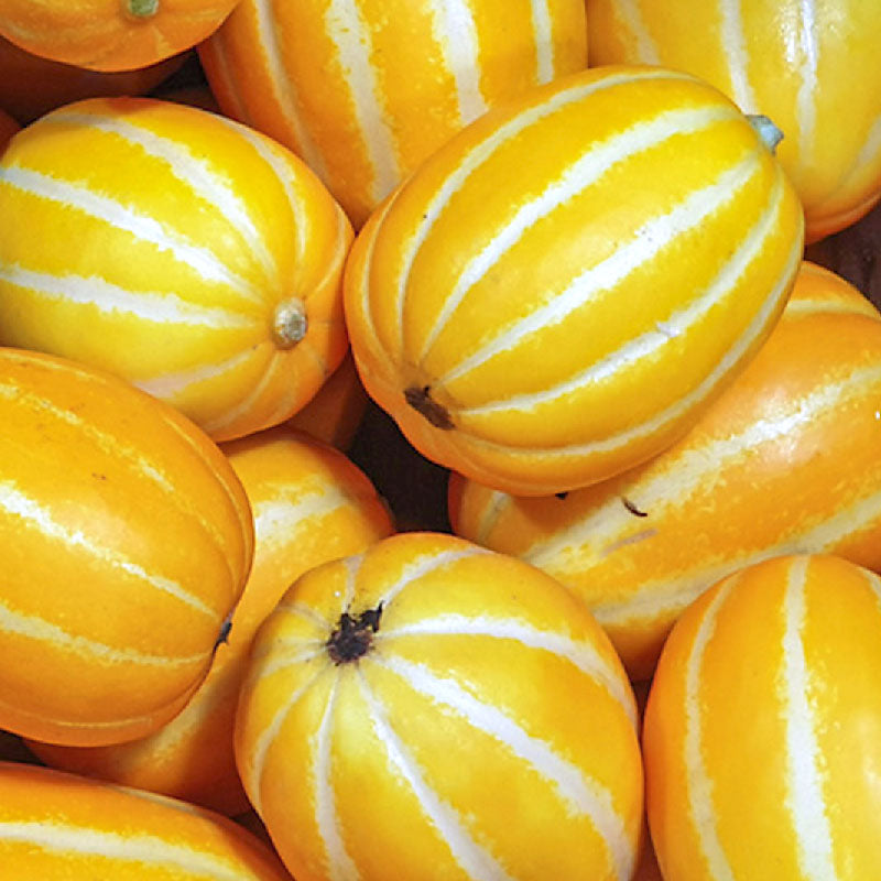 Melon Korean - 참외