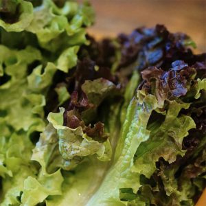 Lettuce Skirt Red - 적치마 상추