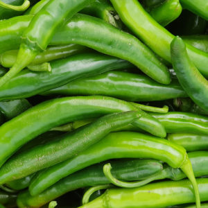 Pepper Green - 풋고추
