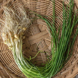 Korean wild chive : Dallae - 달래
