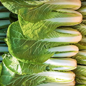 Cabbage Winter : Eolgali - 얼갈이 (엇갈이) 배추