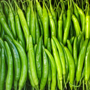 Pepper Green : Sweet - 아삭이 고추