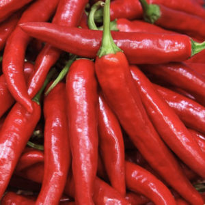 Pepper Red : Mild - 홍고추