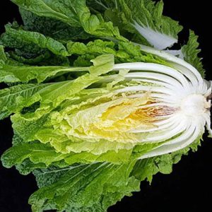 Cabbage from Jeju - 제주도산 구억배추