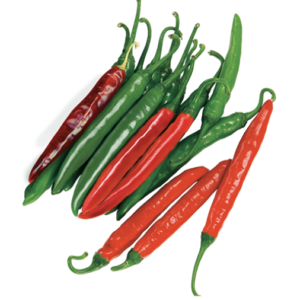 Pepper Green Shinhong Cheongyang  : Hot Spicy – 청양고추(신홍)