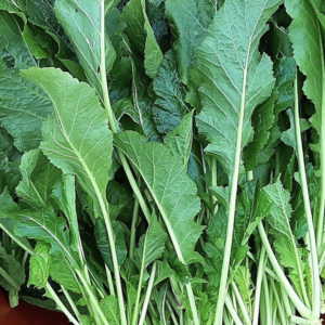 Mustard Green - 청갓